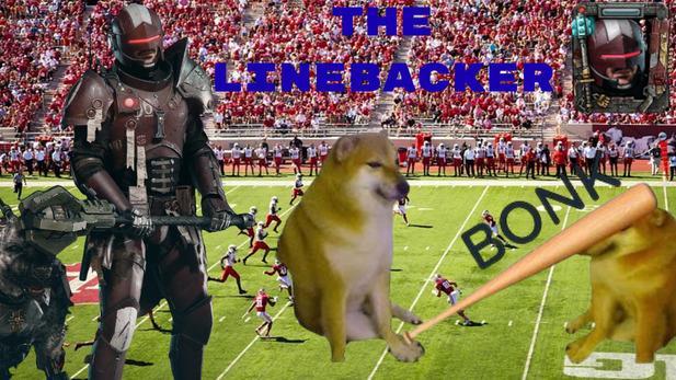 The Linebacker -  Crusher Cop Build