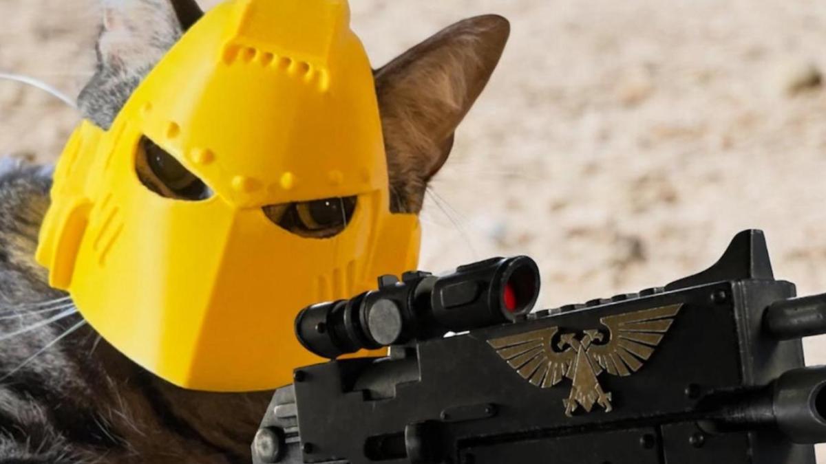 Veteran - BolterBossMelter