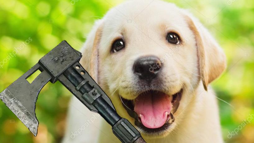 H40 Super Fast Axe Maniac