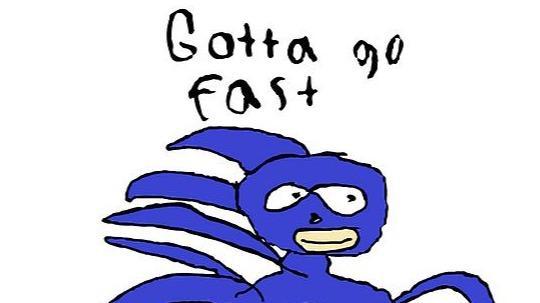 Sanic (MaxStamina Crit Build)