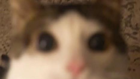 Legendary H40 Pickaxe Gaunter