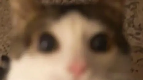 Legendary H40 Pickaxe Gaunter