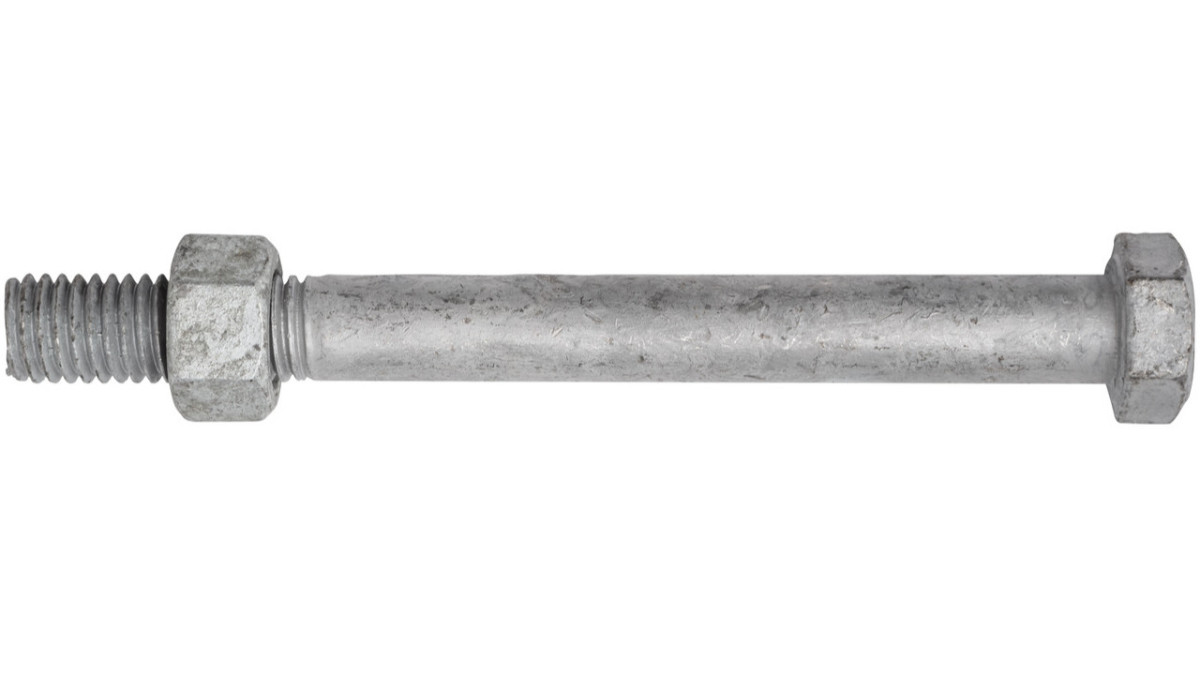 Veteran BolterMAXXING