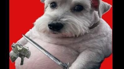 Chudmangus Zealot