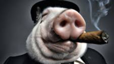 Toughness Hog