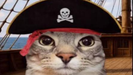 ARCH-CAPTAIN ARRRPHA PRIMUS