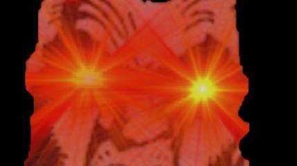 BONK