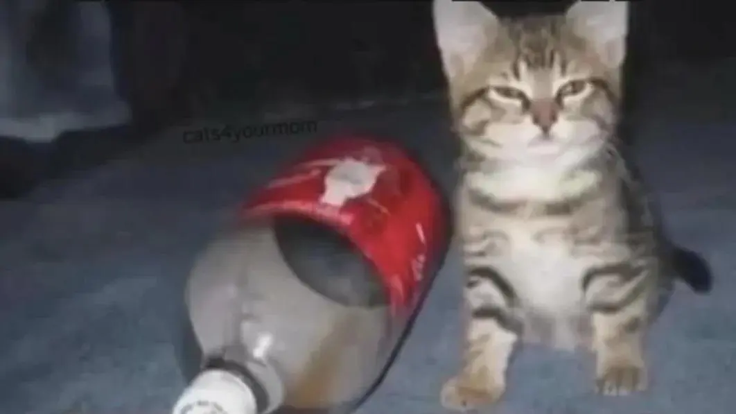 Veteran Found a Magical Tazer