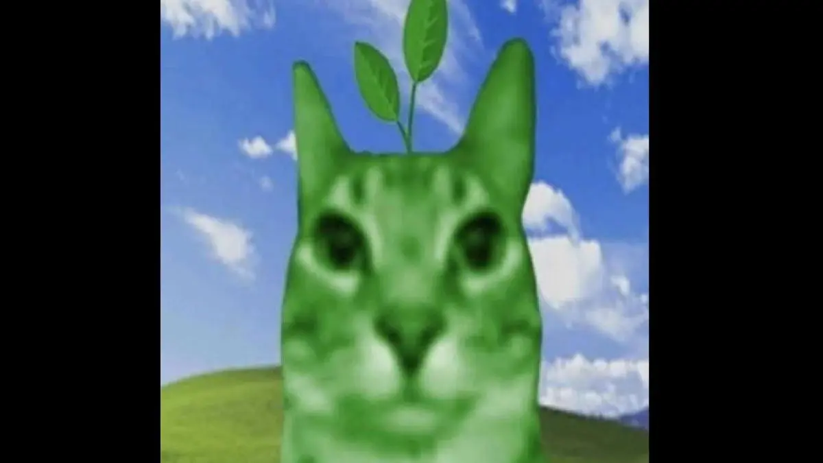 what if you had chorus but it let you play the game and you didnt piss all over your team