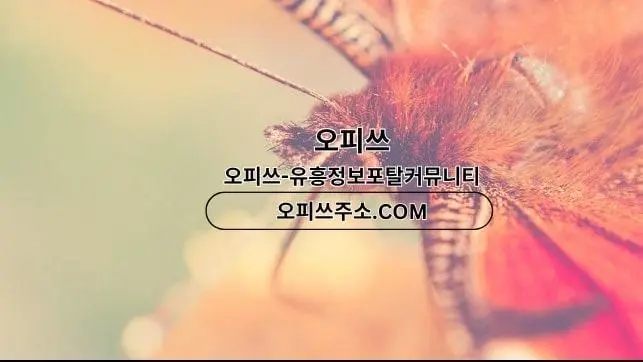 분당오피 오피쓰.COM 분당OP