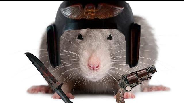 Mr.Unc's Rat Build