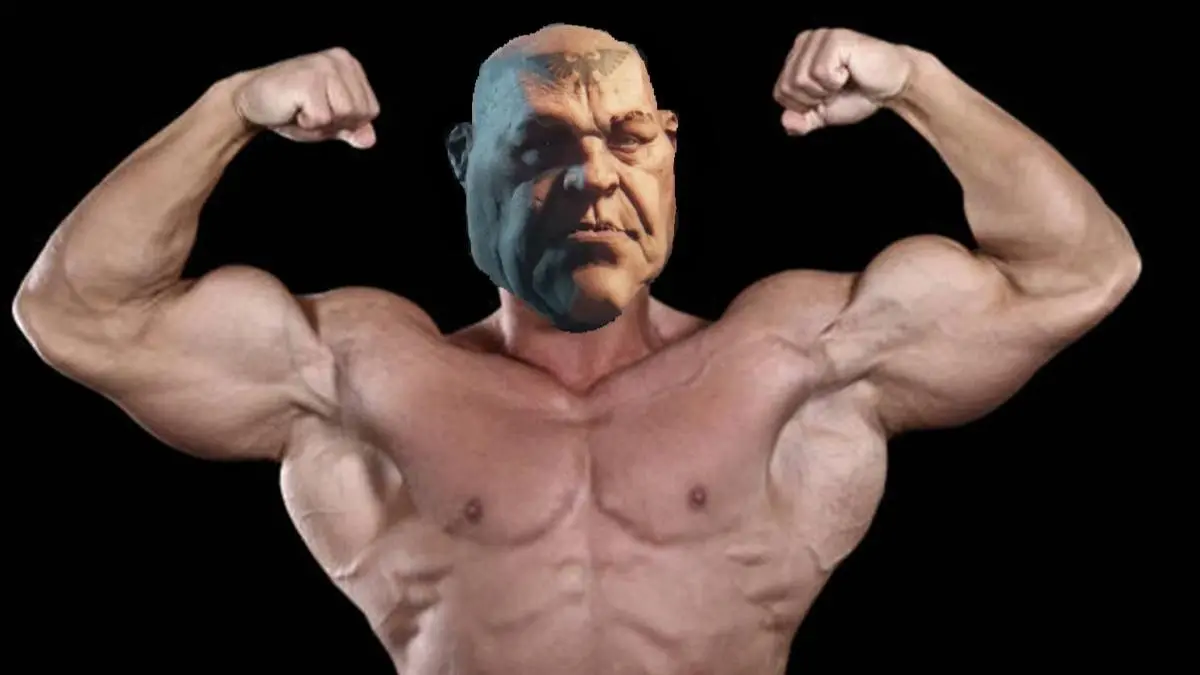Bully Light Spam Meta H-40