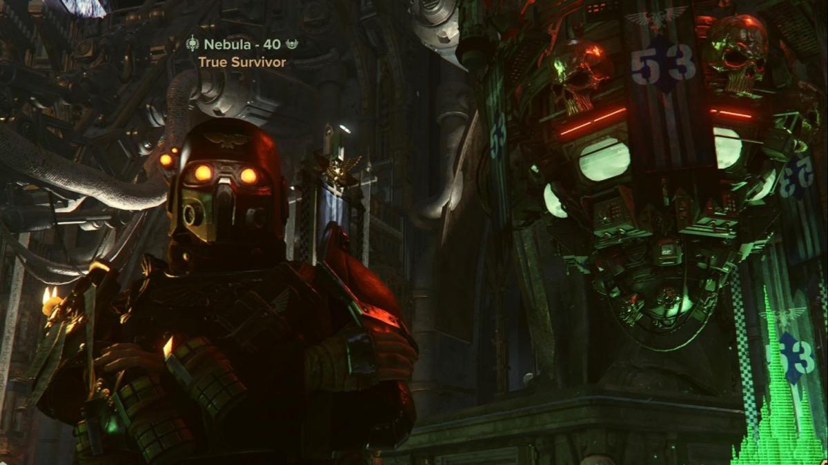 Havoc 2.0 Best Vet Build