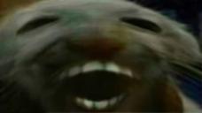 Best Build in the Game (Hands Down)