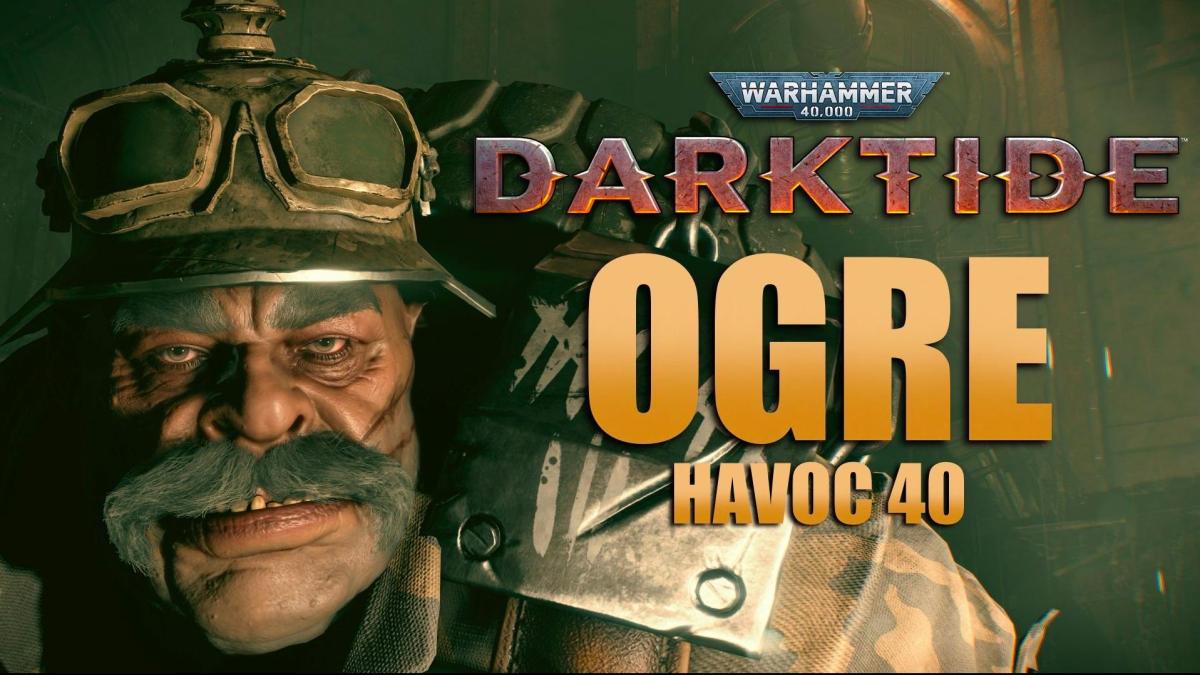 THE Ogryn Build