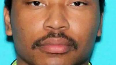 Little Buddy's Guide to PCP Psychosis