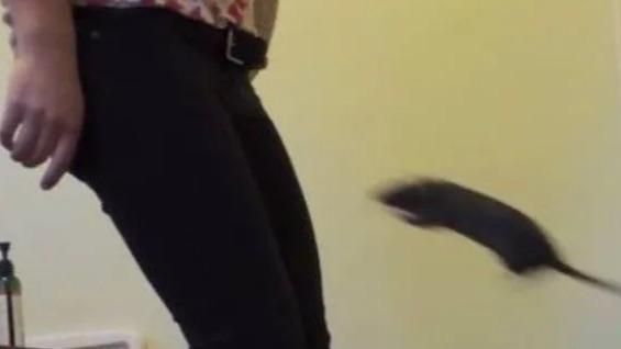 Hive Scum: Gutter Runner