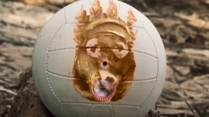 META Vet Shotgun Build