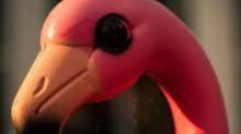 Flamingomancer