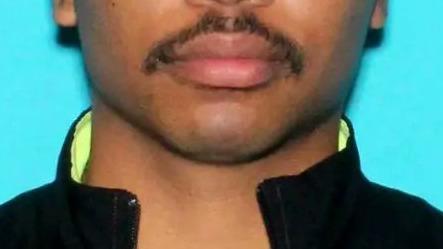 Little Buddy's Guide To Not Dying