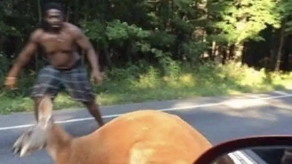 Psyker Inferno H40 Typical