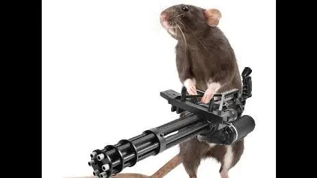 ratatatatatatatata (Maelstrom/Havoc)