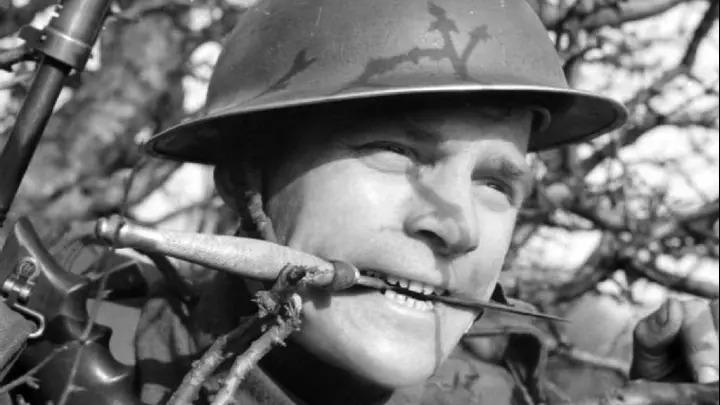 CQC Vet  (Knife + DB)