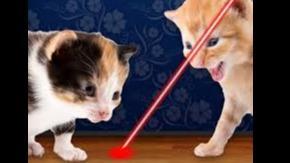 Recon Lasgun - Veteran Build for Darktide - Darktide WH40k