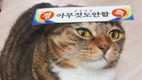 Melee Powersword Plasma