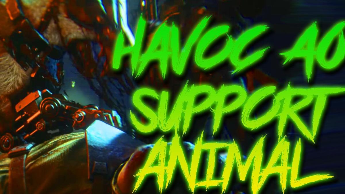 Mister E's Support Animal