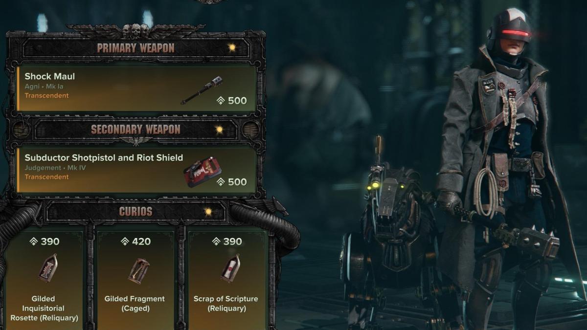 Security Enforcer Barbaretta