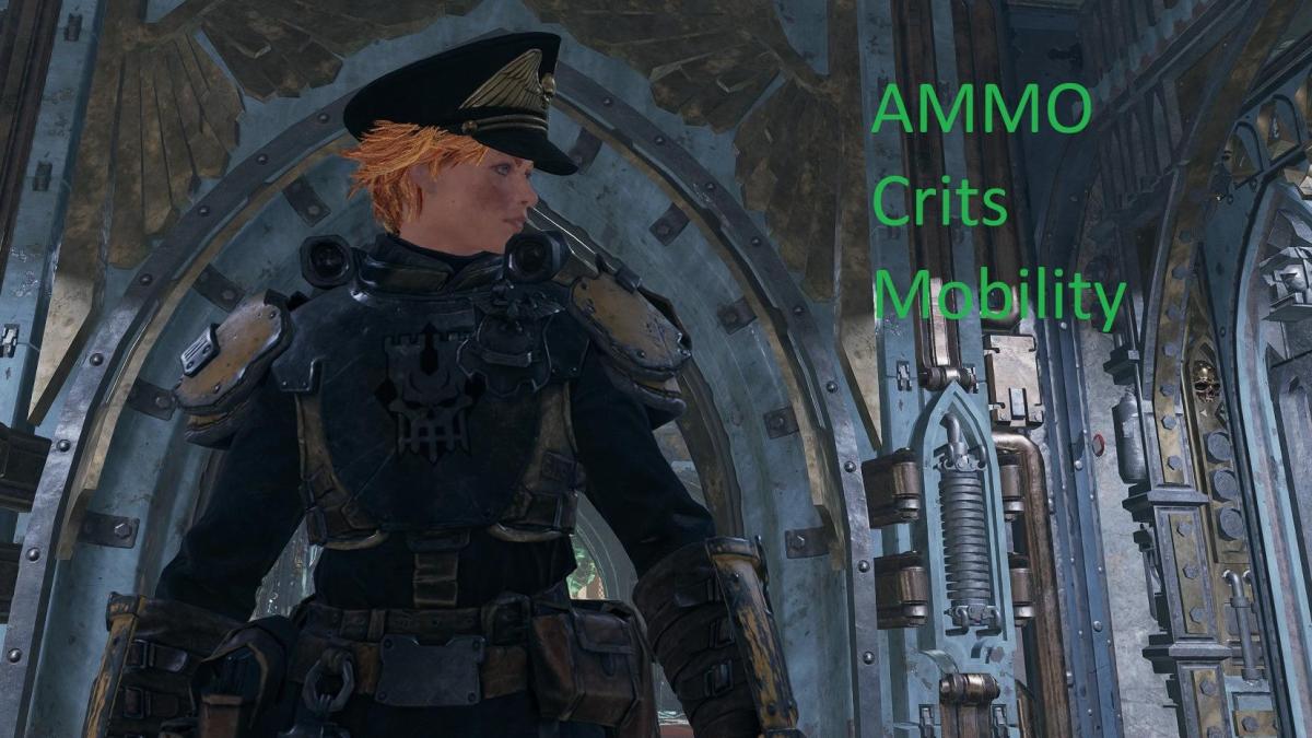 NRGaa's Crit AmmoEco Veteran H40