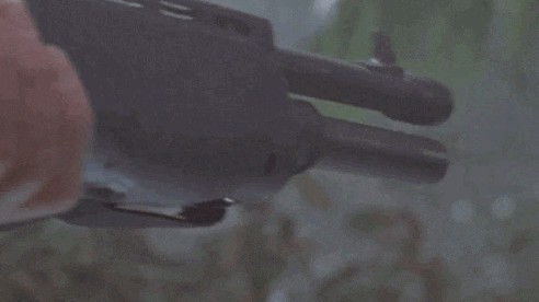 brain too large to be veteran