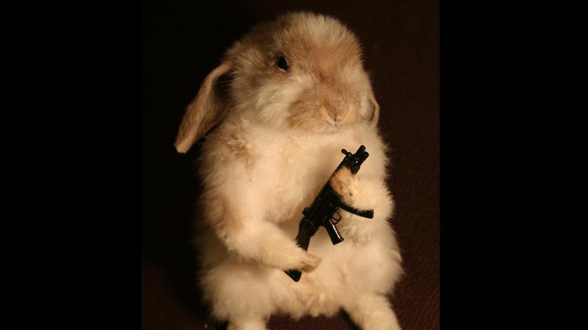 Lihoe's Scumlinger build. (Havoc 30+)