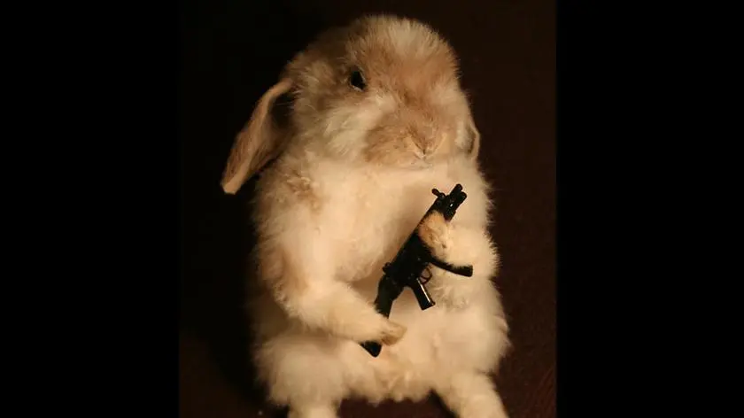 Lihoe's Scumlinger build. (Havoc 30+)