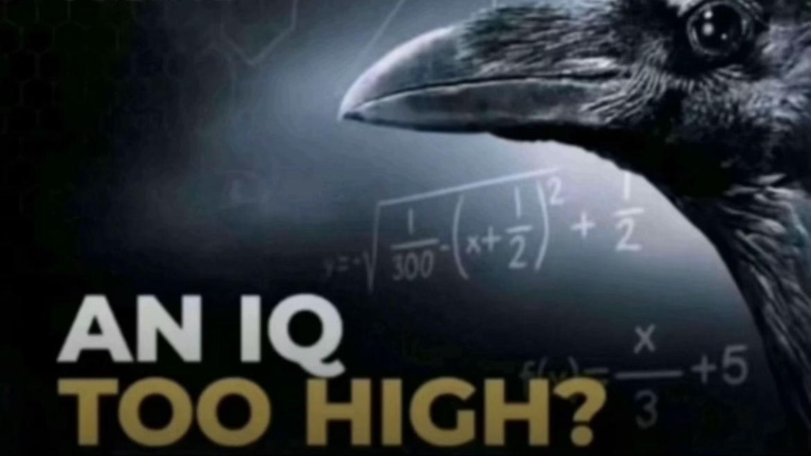 Tara Electro Psyker Build