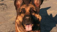 Shock Trooper Companion