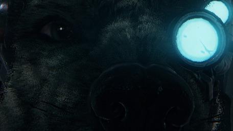 Mathematically Correct Arbites [Meta - Auric]