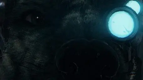 Mathematically Correct Arbites [Meta - Auric]