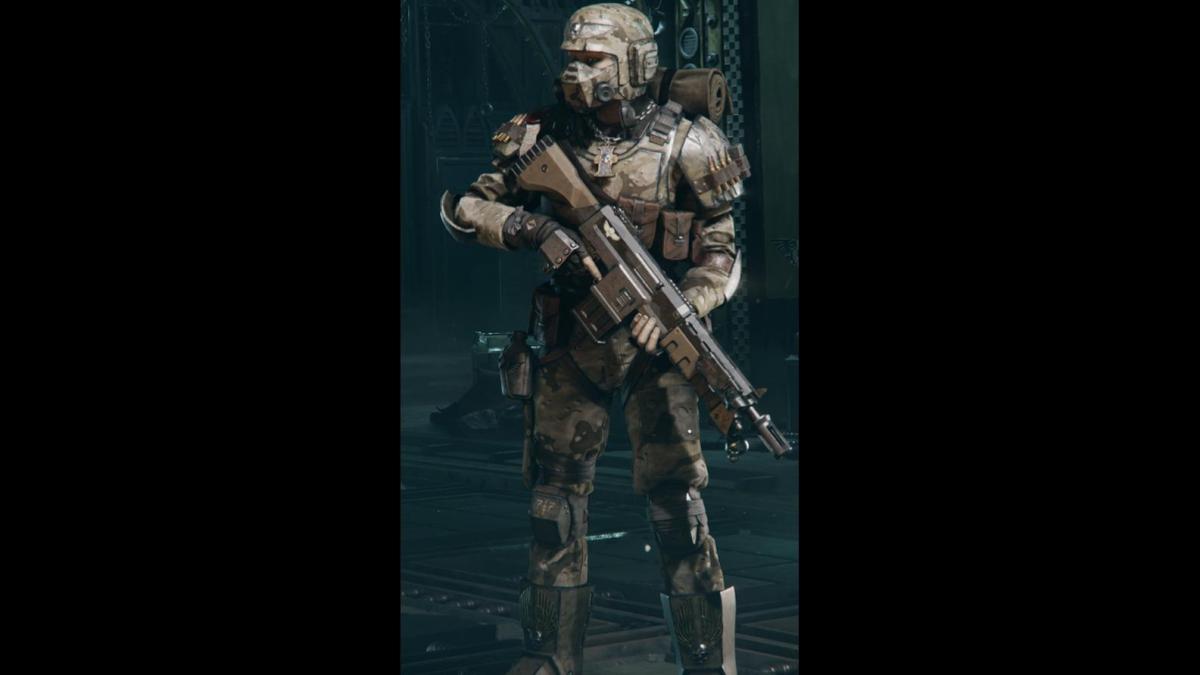 Marine guardsman