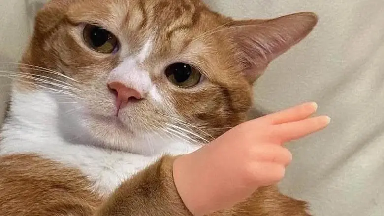 My Gun Psyker w/smite REVISED