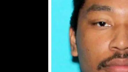 Little Buddy's Guide to Ratting and/or Tatting