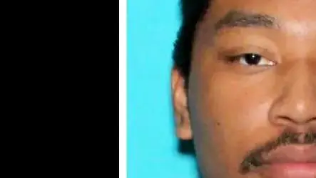 Little Buddy's Guide to Ratting and/or Tatting