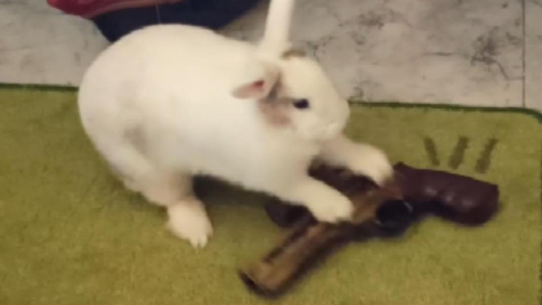 Lihoe's Scumlinger build 2. (Havoc 30+)