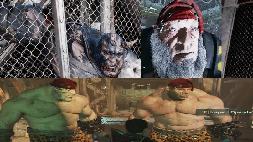 [HAVOC 40] Gnome Paul