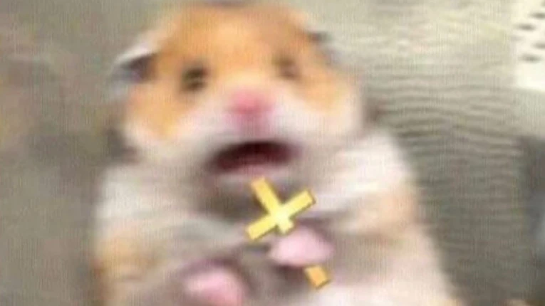 Book zealot for havoc 40 (Pubs)