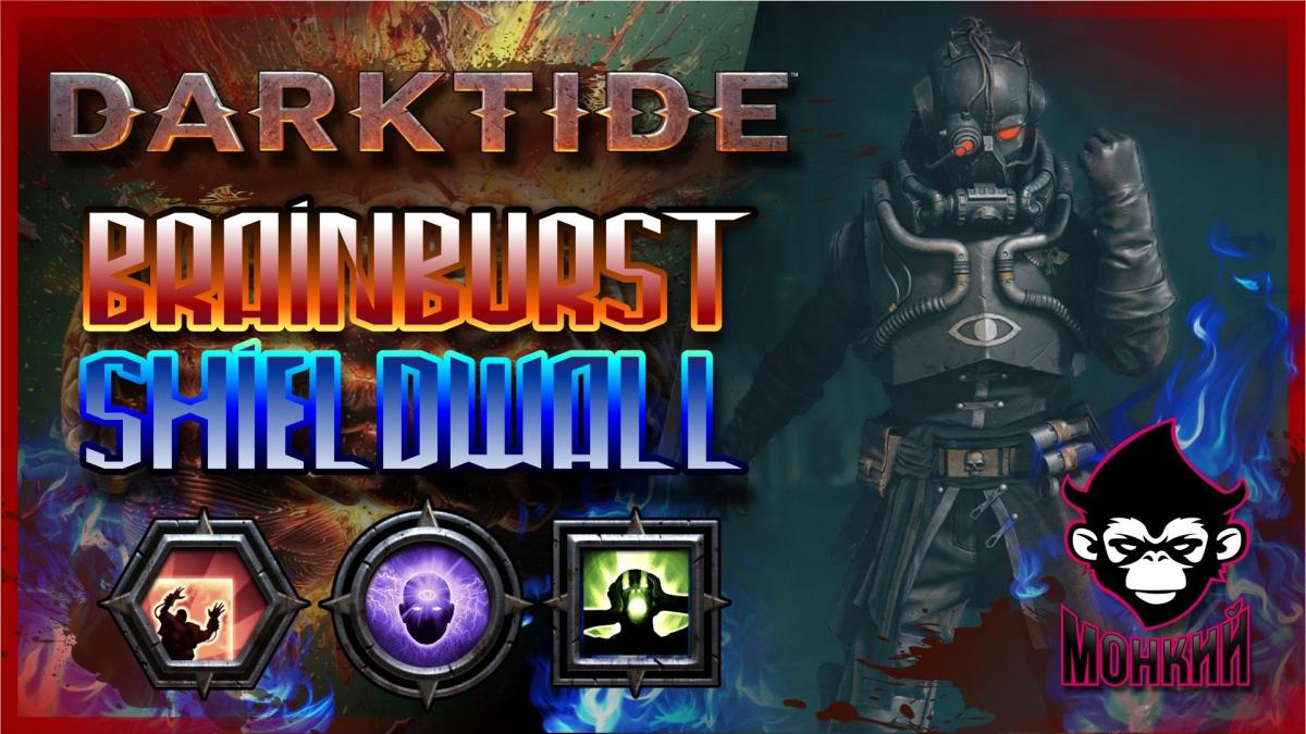 BRAINBURST SHIELDWALL | HAVOC BUILD