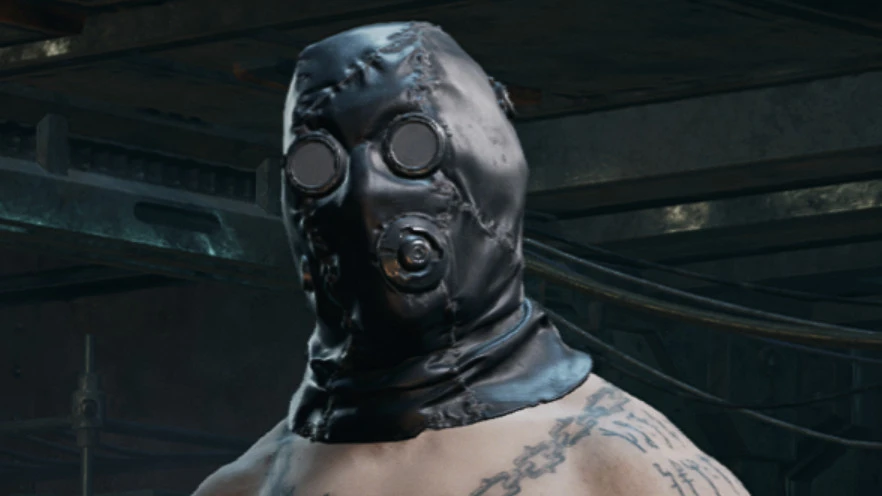 ACTUAL Zealot meta build