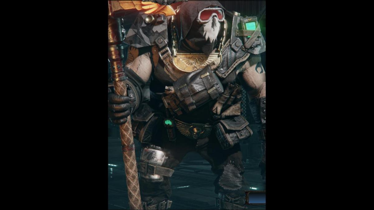 Wastelander Ogryn