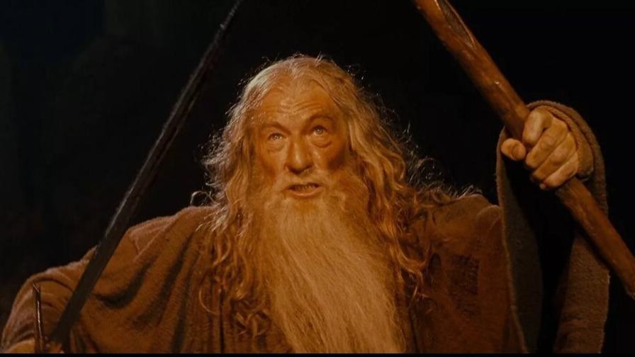 ELİTES SHALL NOT PASS-HAVOC 40-Beauty